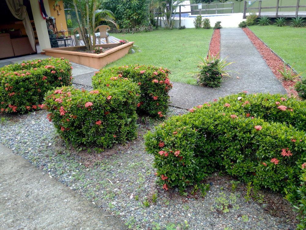Osa Lodge Puerto Jiménez Exterior foto